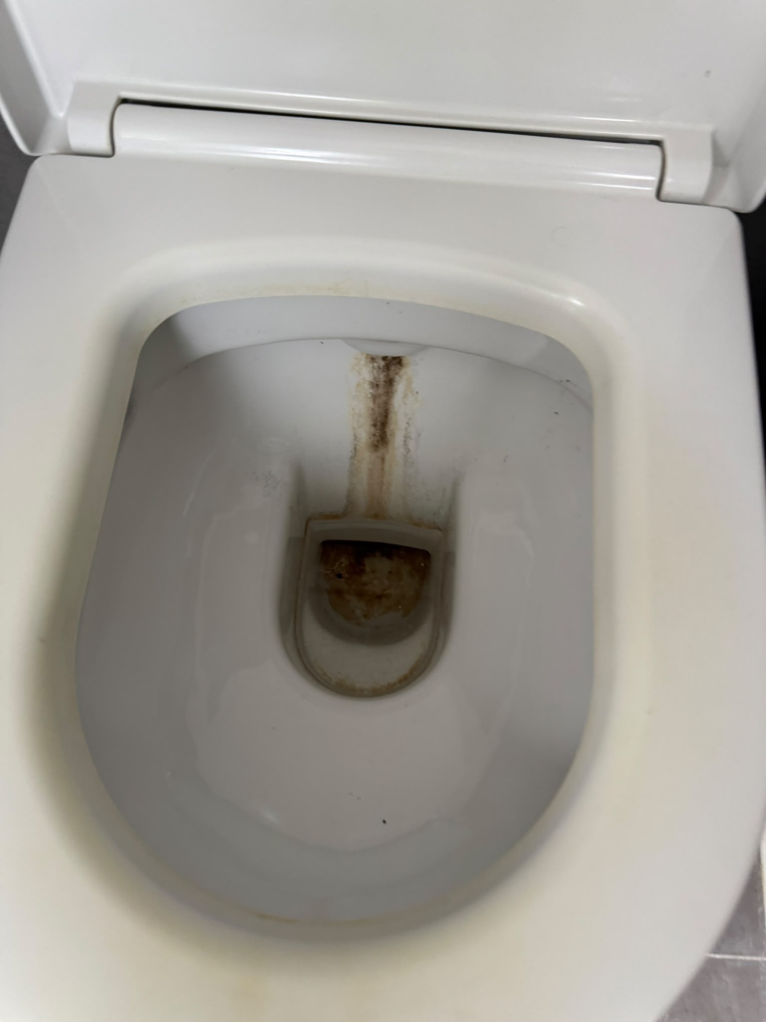 Vorher verschmutztes WC